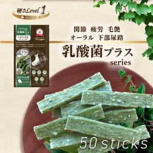 日本産 犬用おやつ いぬでんたる 乳酸菌プラス Premium100 クロロフィル ほうれん草50本入 国産 犬 ガム 小型犬 シニア ソフト