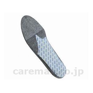 【※法人・施設限定・送料別途】DSISソルボウォーキングエアWOMEN’S/61644グレー2S(c...