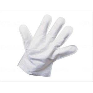 水のいらない泡なしシャンプー ウェット手袋 2枚入×1個の商品画像