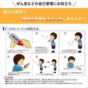 ミニ・ライト ピークフローメーター 標準品 高...の詳細画像2