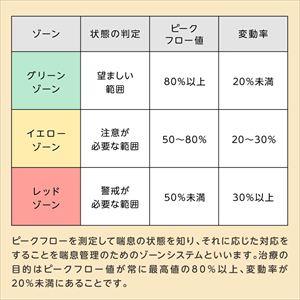 ミニ・ライト ピークフローメーター 標準品 高...の詳細画像4