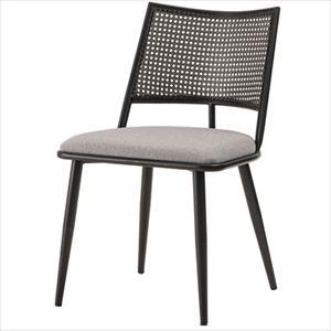 【※別途送料※】チェア TOE-136BE 東谷 チェア チェア(az-toe-136be)