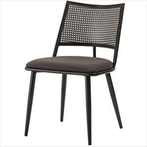 【※別途送料※】チェア TOE-136DGY 東谷 チェア チェア(az-toe-136dgy)