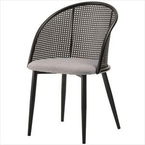 【※別途送料※】チェア TOE-137BE 東谷 チェア チェア(az-toe-137be)