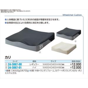 カリ 規格：ハイ　サイズ：W400×D400×H80mmPHK02-GR1-4040(24-3067...