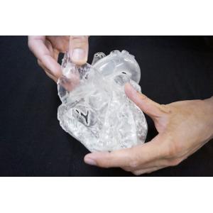 ＣａｒｄｉｏＭｏｄｅｌＥＶ（成人正常XC-04T(ハントウメイ) カーディオ モデル E.V.(クロスメディカル)(24-7808-01)【1個単位】