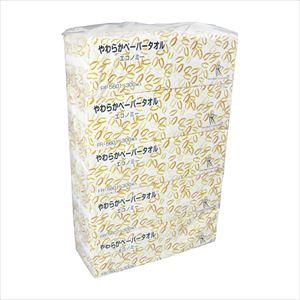 やわらかペーパータオル（エコノミー） FR-5601(300マイX80パック エコノミー【ファースト...