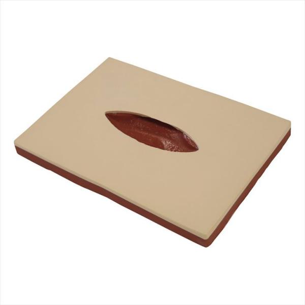 創傷管理モデル BDR-A4BDR-A4(24-8253-00)【レジーナ】［1コ］【1単位】