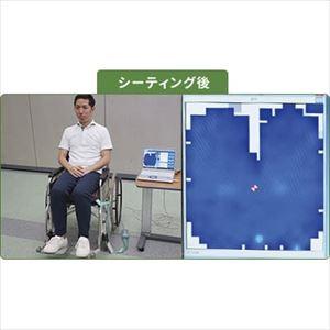 プレリアBODYBIGMAT座位用【ニッタ】(...の詳細画像1