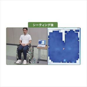プレリアBODYHUGEMAT臥位用【ニッタ】...の詳細画像1