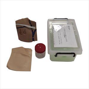 マイクロニードルポート穿刺トレーニン CVP-S 穿刺トレーニングモデル 25-2408-00【レジーナ】(CVP-S)(25-2408-00)【1単位】