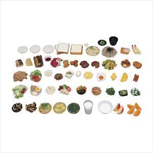 食品交換表に基づいた調理交換モデル SKM-50 50シナ 25-2419-0050品セット【イワイサンプル】(SKM-50S)(25-2419-00)【1単位】