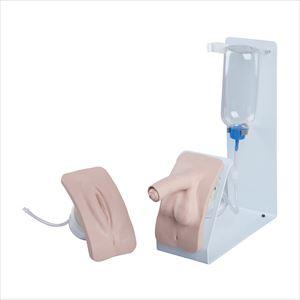 導尿シミュレーターベーシックセット P93B-S 25-3007-00【日本スリービー・サイエンティフィック】(P93B-S)(25-3007-00)【1単位】