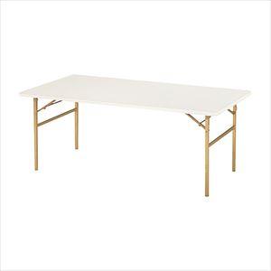 抗ウイルス介護食堂テーブル 25-4778-00 ニシキ工業 KT-M1845【1単位】