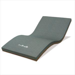 IBI 光線治療器 サナモア用 ジョイントカーボン 5箱セット(50本) 医療