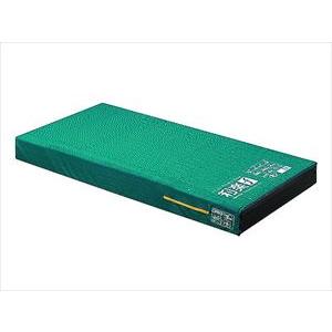 パラマウントベッド (個人様向け限定商品) (パラマウントベッド