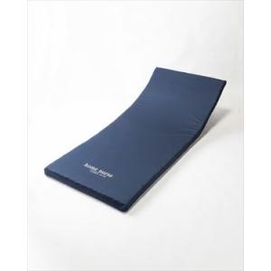 (C31565011)ホームナースBA2マットレス 91幅レギュラーBA2-91R(all-c315...