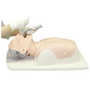 ＤＡＭシミュレーター DAMシミユレーター 11392-000(24-2805-00)【1組単位】