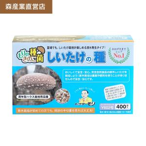 【正規販売店】しいたけ種駒 ろく丸【400個】夏菌 Y602号 周年型 原木栽培｜しいたけの種 原木しいたけ 原木シイタケ 原木椎茸 森産業｜drmori1