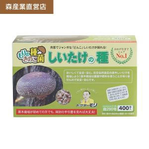 【正規販売店】椎茸 種駒 椎茸菌 シイタケ菌 にく丸【400個】森290号｜  森産業 原木栽培 しいたけの種  原木椎茸｜drmori1