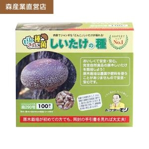 【正規販売店】椎茸 種駒 椎茸菌 シイタケ菌 にく丸【100個】森290号｜  森産業 原木栽培 しいたけの種  原木椎茸｜森のきのこ倶楽部Yahoo!店