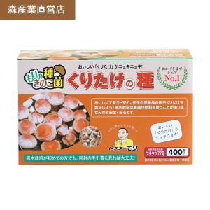 くりたけ種駒森77号 原木栽培｜クリタケ種駒 くりたけの種
