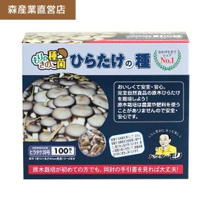 森のきのこ倶楽部 椎茸 種駒 椎茸菌 【正規販売店】シイタケ菌 森のきのこ倶楽部 椎茸 種駒 椎茸菌 【正規販売店】シイタケ菌
