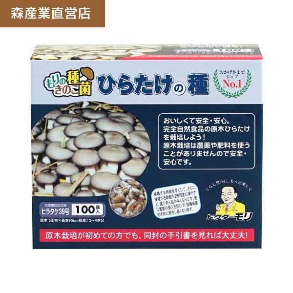 ひらたけ 種駒 100個 【正規販売店】 森39号 原木栽培 ヒラタケ種駒 ひらたけの種 原木ひらた...