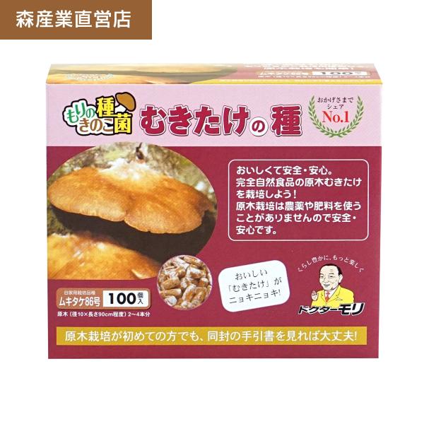 むきたけ 種駒 100個 【正規販売店】森86号 原木栽培 ムキタケ種駒 むきたけの種 原木むきたけ...