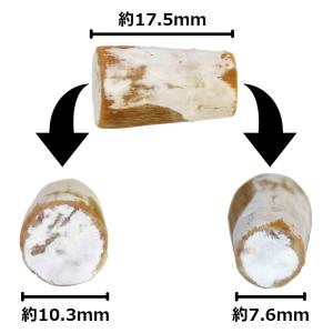 たもぎたけ 種駒 100個 【正規販売店】森8...の詳細画像4