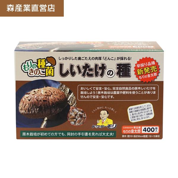 椎茸 種駒 椎茸菌 【正規販売店】シイタケ菌 もりの金太郎 400個 森産業 原木栽培 しいたけの種...