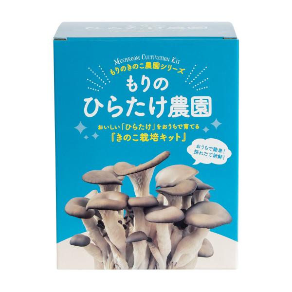 キノコ栽培キット ひらたけ栽培キット 森のきのこ倶楽部 もりのひらたけ農園 正規販売店 ヒラタケ栽培...