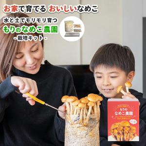 【正規販売店】なめこ栽培キット/もりのなめこ農園...の商品画像