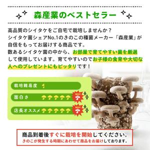 椎茸栽培キット キノコ栽培キット 栽培容器付き...の詳細画像1