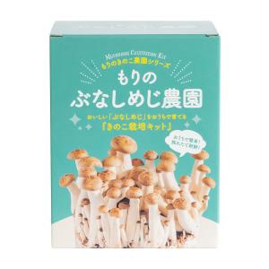 【正規販売店】ぶなしめじ栽培キット／もりのぶなしめじ農園 | ブナシメジ栽培キット 家庭菜園 きのこ栽培 キノコ栽培 菌床 国産 食育 きのこ狩り