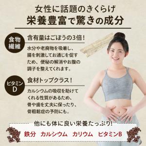 正規販売店 きくらげ栽培キット キノコ栽培キッ...の詳細画像4