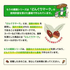 正規販売店 きくらげ栽培キット キノコ栽培キッ...の詳細画像5