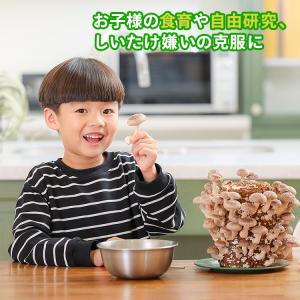 正規販売店 もりのしいたけ農園 おかわり君(ブ...の詳細画像3