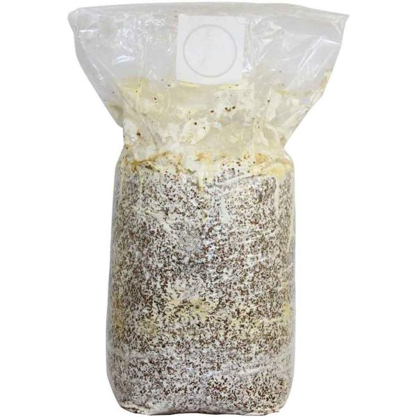 正規販売店 もりのえりんぎ農園 おかわり君（ブロックのみ）&lt; 説明書など一切付属致しません &gt; エリ...