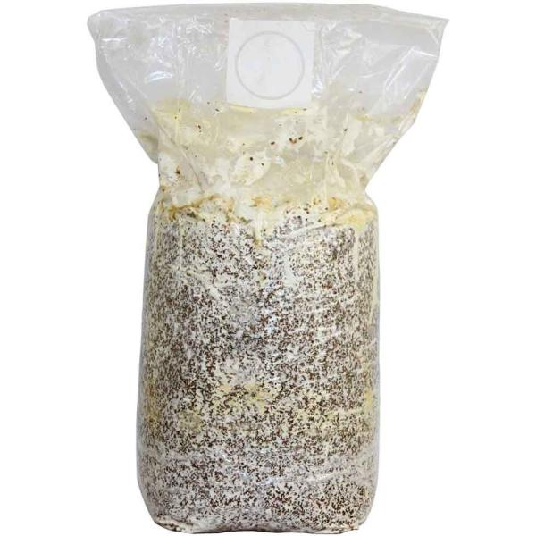 正規販売店 もりのぶなしめじ農園 おかわり君（ブロックのみ）< 説明書など一切付属致しません > ぶ...