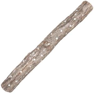 しいたけ栽培キット 【しいたけの成る木】 [椎茸栽培キット/シイタケ栽培/しいたけ栽培/きのこ栽培/原木] 本格椎茸栽培