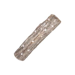 シイタケ栽培キット  [椎茸栽培キット/シイタケ栽培/しいたけ栽培/きのこ栽培/原木]