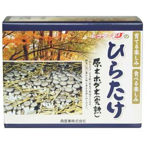 ヒラタケ栽培キット  [ヒラタケ栽培/ひらたけ栽培/原木ヒラタケ/原木ヒラタケ/原木栽培]