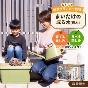 マイタケ栽培キット まいたけの成る木(短木) ...の詳細画像1