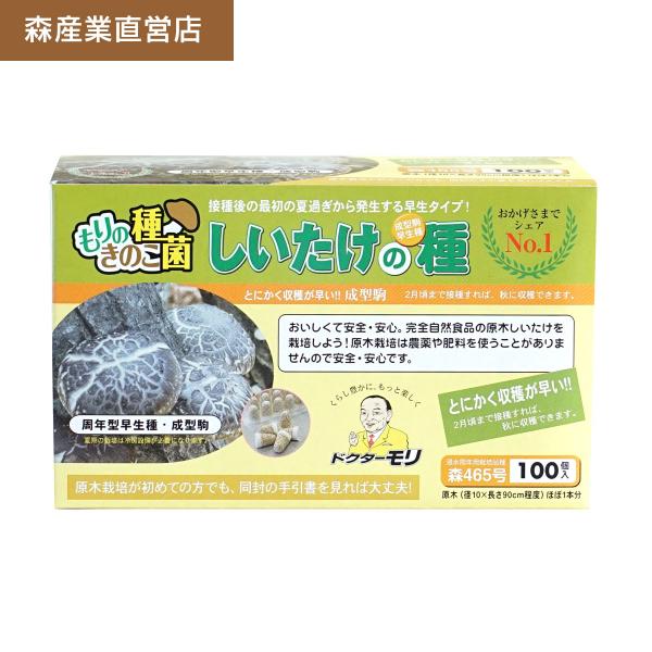 正規販売店 しいたけ 成型駒 よん六 100個 森465号 早生系 原木栽培 しいたけの種 原木しい...