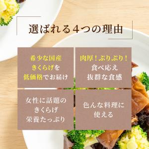 きくらげ 国産 乾燥きくらげ 食物繊維 キクラ...の詳細画像4