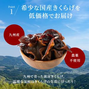 きくらげ 国産 乾燥きくらげ 食物繊維 キクラ...の詳細画像5