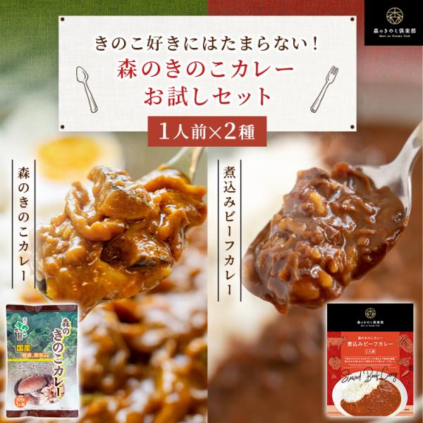 カレー きのこ 1000円ポッキリ！森のきのこカレーお試しセット 1人前  2種類  レトルト 国産...