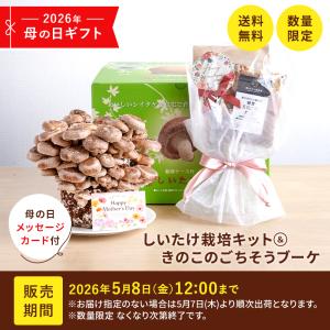【5月7日から順次発送】【母の日限定】ごちそうブ...の商品画像
