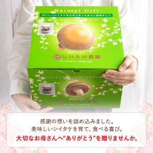 【5月7日から順次発送】【母の日限定】ごちそう...の詳細画像1